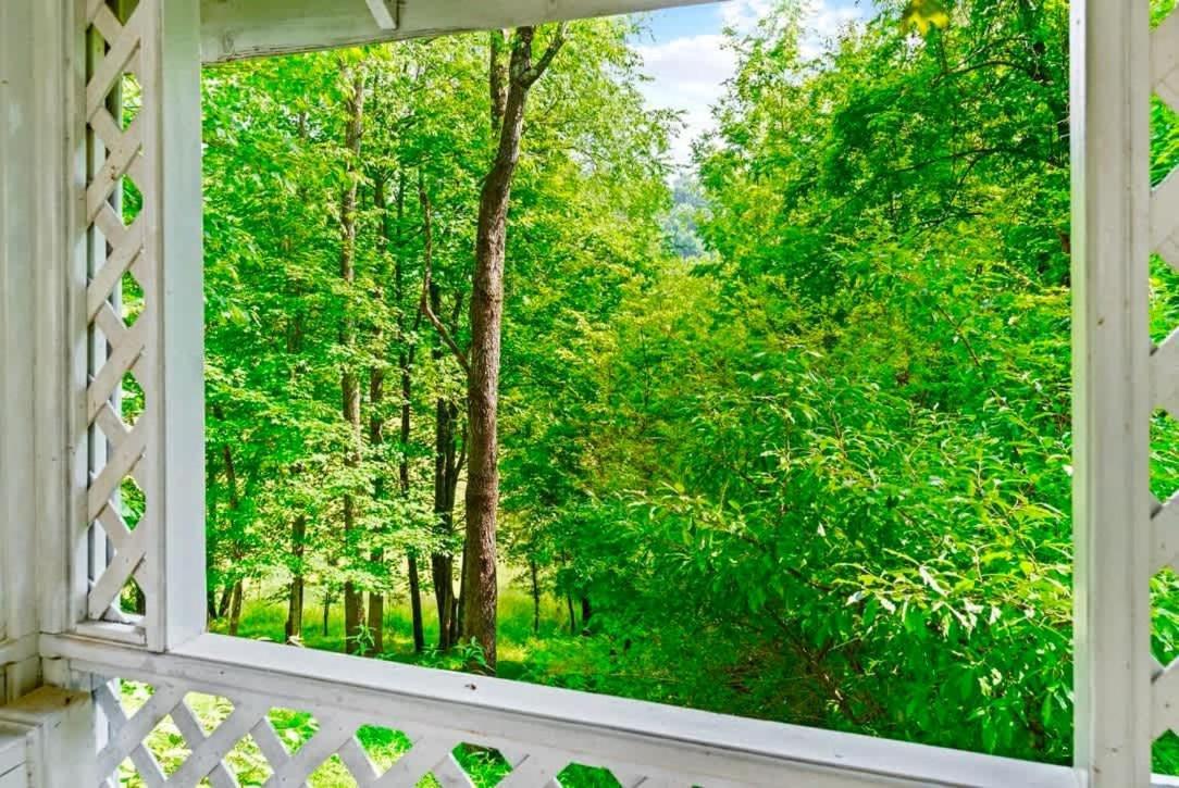 Вилла Gated Mansion - Basketball Court Movie Theater Views Big Stone Gap Экстерьер фото